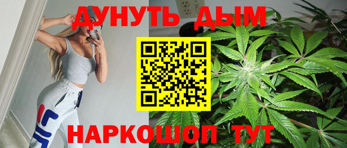 Каннабис планчик Зеленокумск